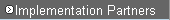 Implementation Partners