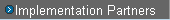 Implementation Partners