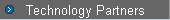 Technology Partners